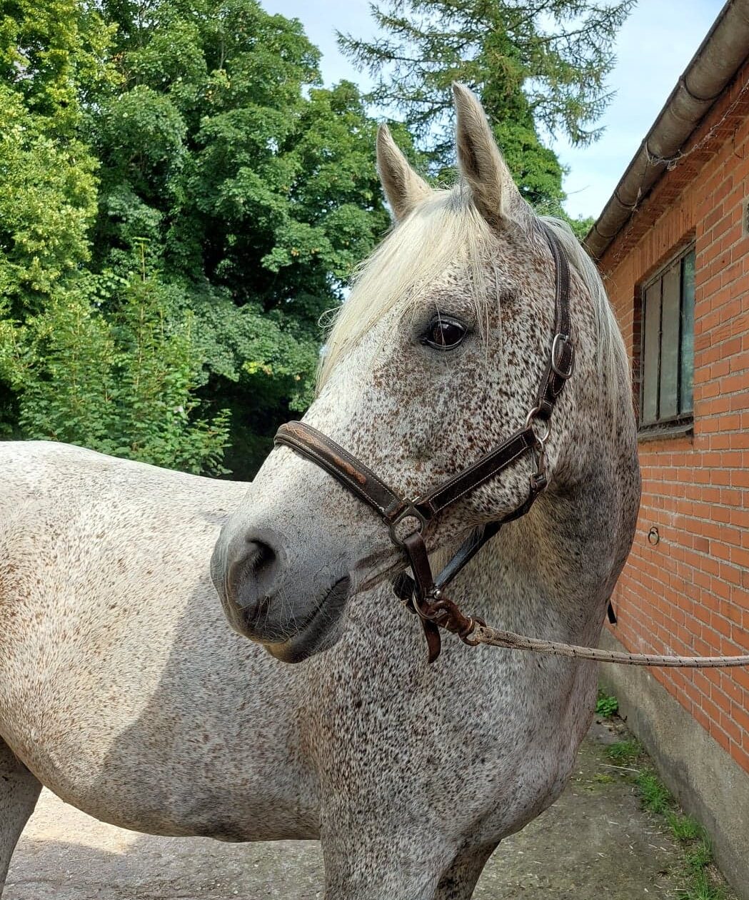 emir